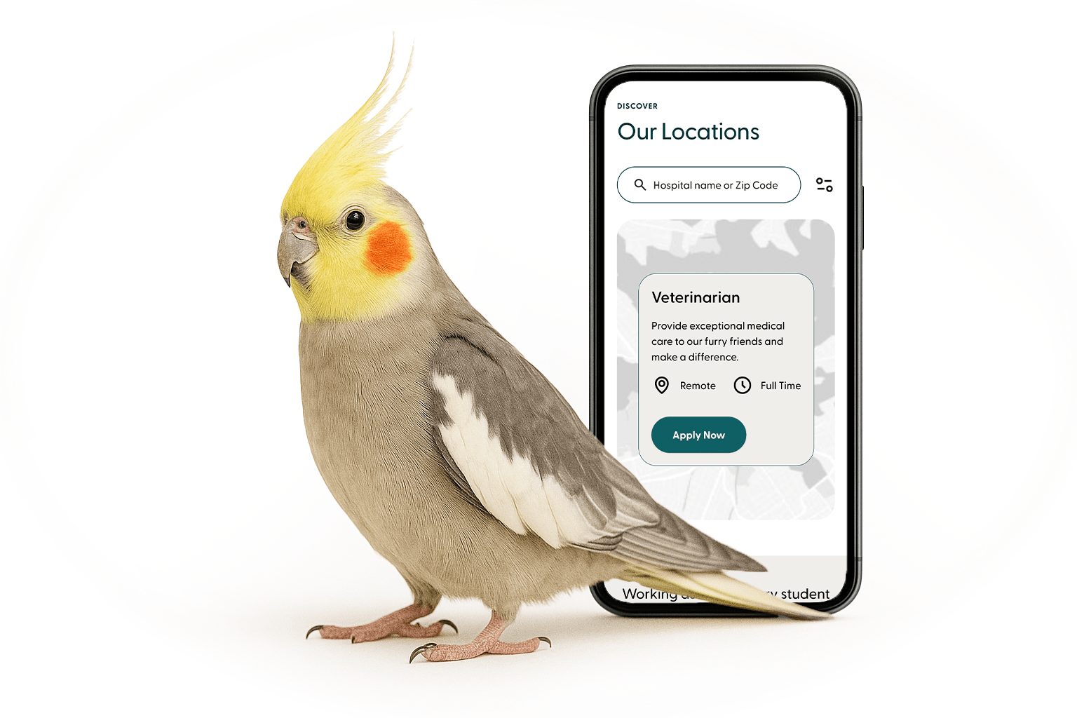 NVA local-first composition — the Our Locations finder and a cockatiel